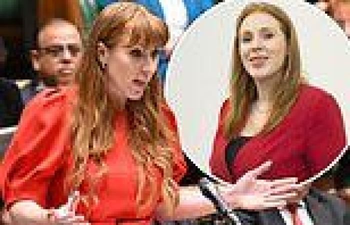 Revealed: Angela Rayner's dalliance with... the Liberal Democrats as party ... trends now