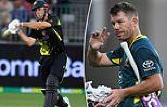 sport news Two huge shocks see cricket great and in-form star snubbed from Australia's T20 ... trends now