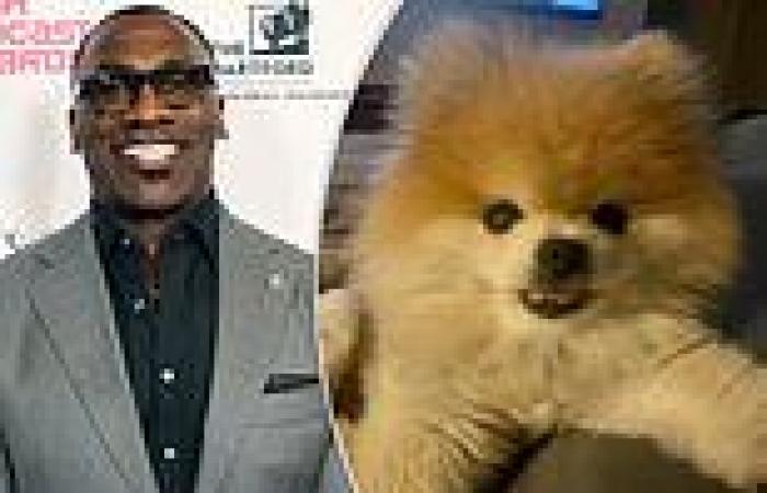 sport news Shannon Sharpe suffers with 'heavy heart' as ex-NFL star mourns death of ... trends now