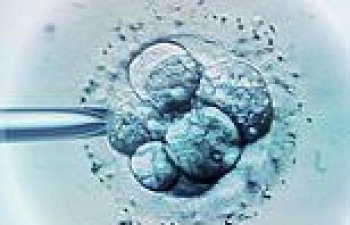IVF babies at greater risk of leukaemia, study finds - but experts claim older, ... trends now
