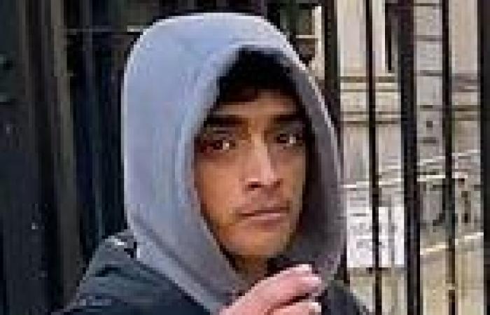 TikTok prankster who upset King's Guard horse, turned up at Downing Street ... trends now