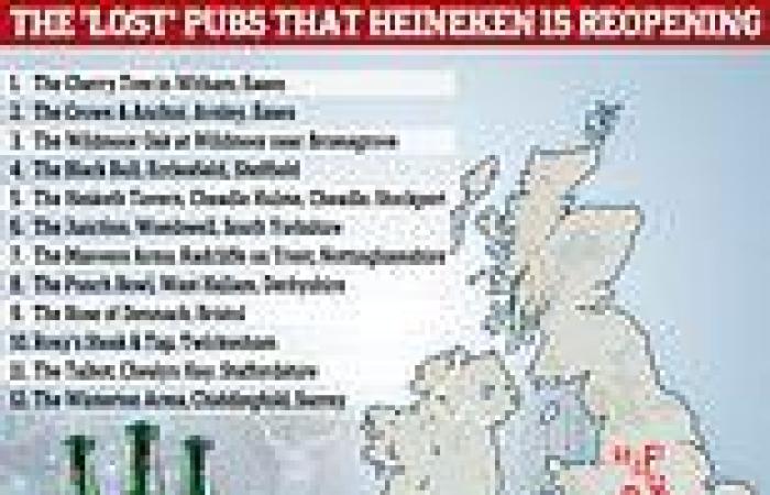 Lager giant Heineken will reopen 62 'lost' pubs across Britain in £40million ... trends now