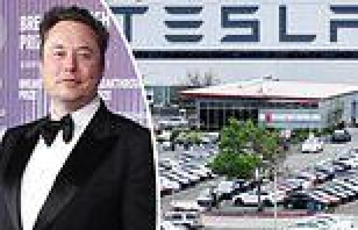 Elon Musk's Tesla announces fourth week of layoffs as EV car maker continues to ... trends now