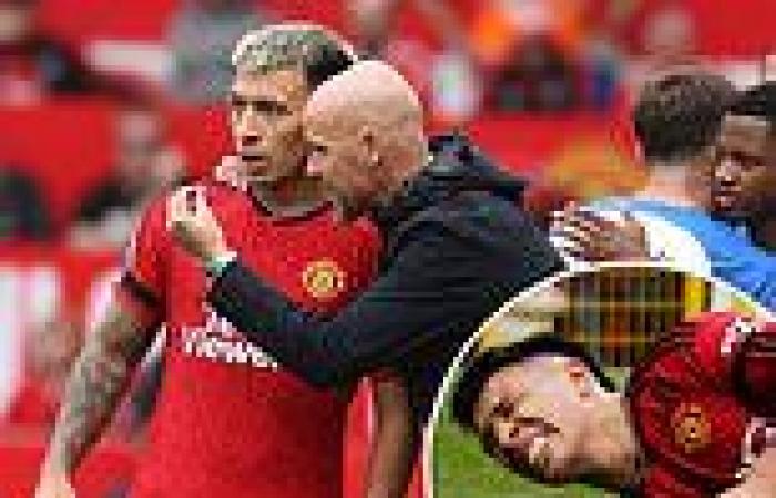 sport news MAN UNITED CONFIDENTIAL: Lisandro Martinez determined to be fit for FA Cup ... trends now