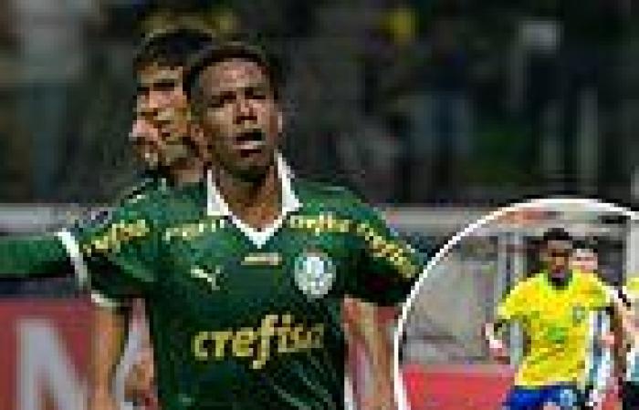 sport news Chelsea 'in talks to sign Estevao Willian, 17, from Palmeiras for initial fee ... trends now