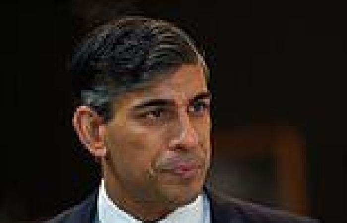 Rishi Sunak summons university chiefs to Downing Street over concerns with ... trends now