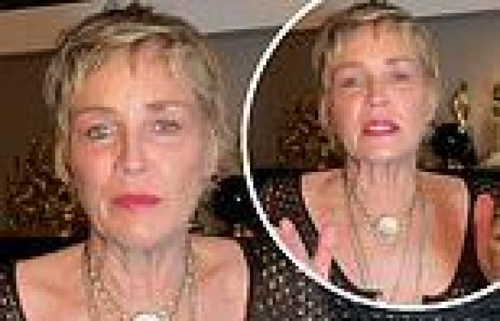 Sharon Stone admits she was 'hurt people didn't care about her anymore' after ... trends now
