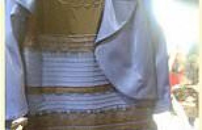 The Curse of THAT Dress: How the outfit that broke the internet left ... trends now