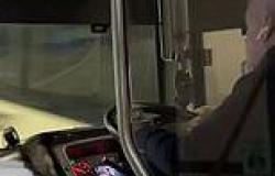 Brisbane bus driver seen watching video on his phone while driving trends now