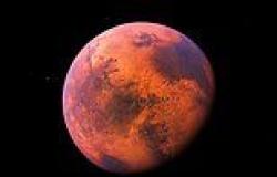 Life on Mars... but only for four years: Red Planet 'too dangerous' for humans ... trends now