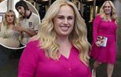 Rebel Wilson seen for FIRST TIME since newly released footage from her 2016 ... trends now