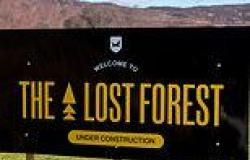 BrewDog reveals HALF of saplings planted for its million tree Lost Forest have ... trends now