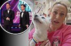 Saturday Night Takeaway winner left devastated as paralysed dog is BANNED from ... trends now