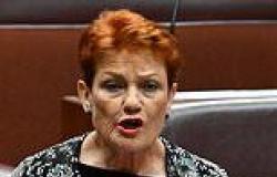 Pauline Hanson makes explosive claims about the reasons behind Monday night's ... trends now