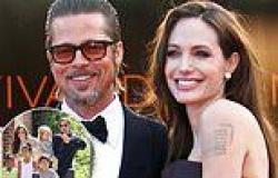 Angelina Jolie is accusing Brad Pitt of trying to 'bleed her dry' in their ... trends now