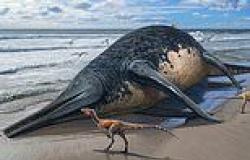 Somerset's giant sea monster! Huge ichthyosaur twice the size of a London bus ... trends now
