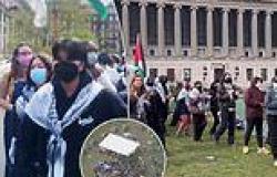 Columbia students stage sit-in on campus for 'solidarity in Gaza encampment' as ... trends now