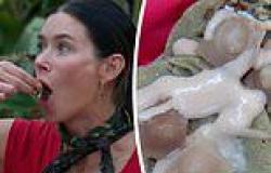 Is this the most disgusting I'm A Celebrity challenge ever? Brittany Hockley is ... trends now