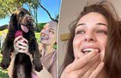 Abbie Chatfield is left devastated as her new puppy Daisy eats 'essential ... trends now