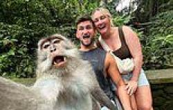 Portrait of the apes: Monkey takes a selfie with stunned British tourists (but ... trends now