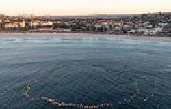 Surfers honour the six victims of the Westfield Bondi Junction stabbing attack ... trends now