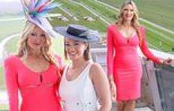 Caprice Bourret puts on a busty display in a bold cut out pink dress as she ... trends now