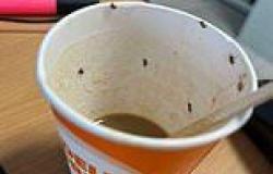Woman, 21, is left fighting for life after drinking coffee filled with INSECTS ... trends now