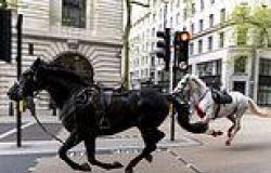 Three Household Cavalry soldiers who were injured when their horses were ... trends now