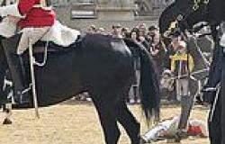 What WAS wrong with the Household Cavalry's horses yesterday? New video shows ... trends now