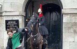 When Household Cavalry horses run wild: From the Platinum Jubilee to the ... trends now