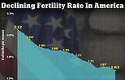 US fertility rates slump by 2% in a year to lowest on record, with 1.62 births ... trends now