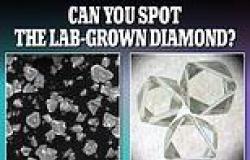 Scientists GROW diamonds in just 150 minutes that could cost $2,000 less than ... trends now