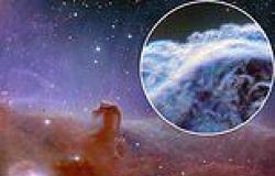 NASA's James Webb captures 'sharpest' images of the Horsehead Nebula that sits ... trends now