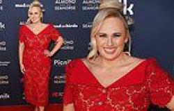 Rebel Wilson stuns in a red lace dress as she attends The Almond And The ... trends now