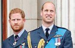 There's 'NO chance' William will see Harry when the Duke of Sussex visits ... trends now
