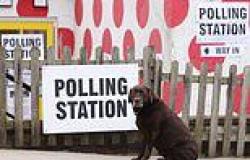 It's dogs at polling stations day to those who celebrate! Pet lovers take their ... trends now