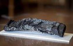 'Plato is just the start': Ancient Herculaneum scrolls buried during the ... trends now