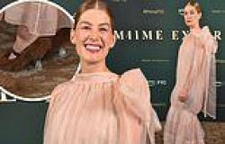 Rosamund Pike jazzes up her semi-sheer pink gown with a pair of brown fluffy ... trends now