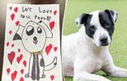 Child's heartbreaking note left with Rhoudy the puppy abandoned at shelter trends now