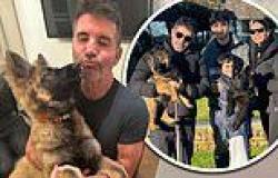 Simon Cowell hires Britain's Got Talent star to help tame wild pet German ... trends now