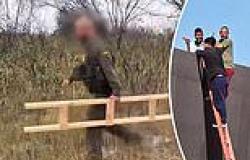 Border cops seize group of migrants who used a 10-15 foot LADDER to scale the ... trends now