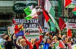 Pro-Israel protesters unfurl 'Hamas are terrorists' banners as they confront ... trends now