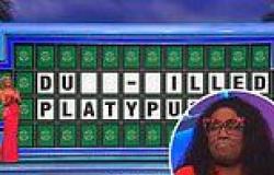 Wheel of Fortune fans left in a frenzy after contestant's embarrassing slip-up ... trends now