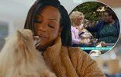 Alison Hammond's role on For The Love Of Dog's SLAMMED by former guest who ... trends now