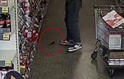 Moment clumsy shoplifter is caught on CCTV stealing wine and sweets from a ... trends now