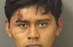Newly arrived illegal immigrant kidnaps an 11-year-old girl and rapes her in ... trends now