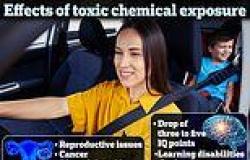 99% of cars sold in US between 2015 and 2022 expose passengers to toxin linked ... trends now