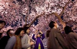 Japan is being overwhelmed by tourists and is trying to stop the chaos at ...