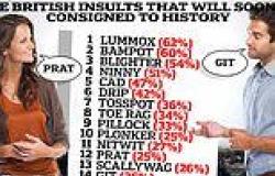 Del Boy won't be pleased! Study reveals the British insults that will soon be ... trends now