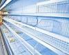 Shoppers are 'facing shortage of chilled food this summer due to lack of lorry ...
